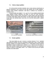 Referāts 'Būves apsekošana un tehniskā stāvokļa novērtēšana', 16.