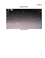 Referāts 'Būves apsekošana un tehniskā stāvokļa novērtēšana', 31.