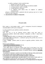 Konspekts 'Konspekts par Eiropas Savienības materiālajām tiesībām', 6.