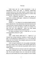 Referāts 'Celtniecības attīstība no senatnes līdz mūsdienām', 6.