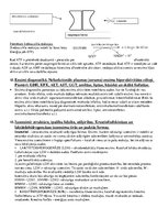 Konspekts 'Bioķīmija', 8.