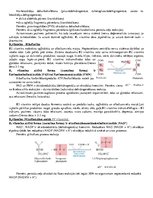 Konspekts 'Bioķīmija', 14.