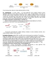 Konspekts 'Bioķīmija', 15.