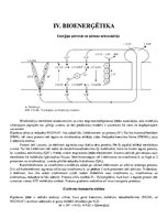 Konspekts 'Bioķīmija', 17.