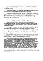 Referāts 'Eksports un imports Latvijā', 7.