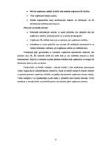 Diplomdarbs 'SIA SR darbību ietekmējošie faktori', 6.