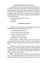 Diplomdarbs 'SIA SR darbību ietekmējošie faktori', 7.