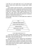 Diplomdarbs 'SIA SR darbību ietekmējošie faktori', 8.