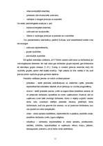 Diplomdarbs 'SIA SR darbību ietekmējošie faktori', 11.