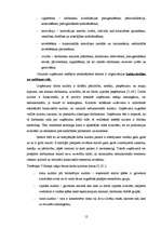 Diplomdarbs 'SIA SR darbību ietekmējošie faktori', 12.