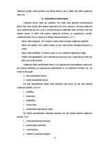 Diplomdarbs 'SIA SR darbību ietekmējošie faktori', 14.