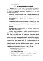 Diplomdarbs 'SIA SR darbību ietekmējošie faktori', 15.