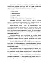 Diplomdarbs 'SIA SR darbību ietekmējošie faktori', 18.