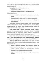 Diplomdarbs 'SIA SR darbību ietekmējošie faktori', 21.