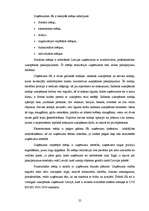 Diplomdarbs 'SIA SR darbību ietekmējošie faktori', 25.