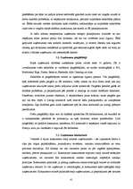 Diplomdarbs 'SIA SR darbību ietekmējošie faktori', 41.