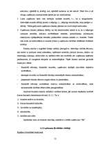 Diplomdarbs 'SIA SR darbību ietekmējošie faktori', 52.