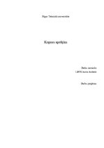 Paraugs 'Kopnes aprēķins', 1.