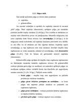 Referāts 'Uzņēmuma ieņēmumi, peļņa, tās veidošanās un maksimizācija', 11.