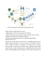 Referāts 'Aprites ekonomika pasaulē un Baltijas valstīs', 7.