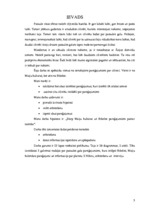 Referāts 'Pasaule nākotnes pareģojumos', 3.