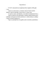 Konspekts 'Pilnsabiedrība "VCX". Biznesa plāns', 3.