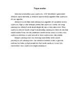 Konspekts 'Pilnsabiedrība "VCX". Biznesa plāns', 6.