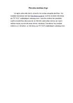 Konspekts 'Pilnsabiedrība "VCX". Biznesa plāns', 7.