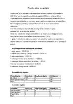 Konspekts 'Pilnsabiedrība "VCX". Biznesa plāns', 10.