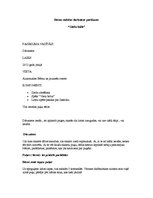 Paraugs 'Nometnes noslēguma pasākums', 1.