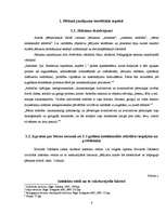 Referāts '2-3 gadus vecu bērnu intelektuālā attīstība', 6.