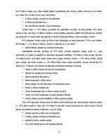 Referāts '2-3 gadus vecu bērnu intelektuālā attīstība', 21.