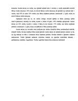 Referāts '2-3 gadus vecu bērnu intelektuālā attīstība', 27.