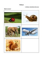 Prakses atskaite 'Ievads logopēdijā', 11.