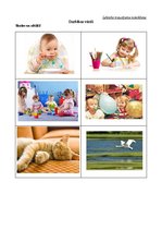 Prakses atskaite 'Ievads logopēdijā', 14.