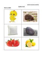 Prakses atskaite 'Ievads logopēdijā', 15.