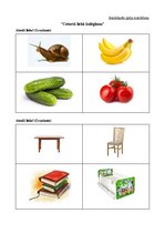 Prakses atskaite 'Ievads logopēdijā', 21.