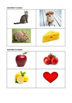 Prakses atskaite 'Ievads logopēdijā', 22.