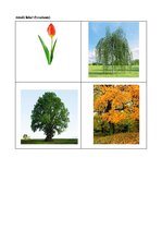 Prakses atskaite 'Ievads logopēdijā', 23.