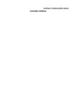 Prakses atskaite 'Ievads logopēdijā', 24.