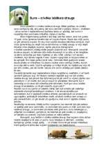 Eseja 'Suns ir cilvēka labākais draugs', 1.