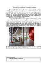 Referāts 'Latgales Vēstniecība GORS', 7.