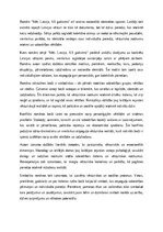 Eseja 'Mēs. Latvija, XX gadsimts’ romāni: vēsturiskās atmiņas un identitātes tēlojums l', 2.