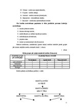 Referāts 'Privātpersonu kreditēšanas politika AS "Hansabanka"', 13.