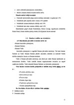 Referāts 'Privātpersonu kreditēšanas politika AS "Hansabanka"', 25.