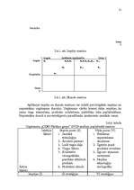 Referāts 'Uzņēmuma SIA "CIDO Pārtikas grupa" vides un stratēģijas analīze un darbības plān', 21.