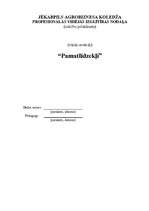 Konspekts 'Pamatlīdzekļi', 1.