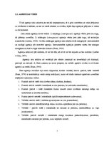 Referāts 'Agresīvas uzvedības ietekmējošie faktori pāru attiecībās', 7.