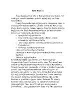 Eseja 'Kara muzejs', 1.