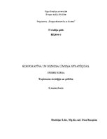 Konspekts 'Korporatīva un biznesa līmeņa stratēģijas', 1.